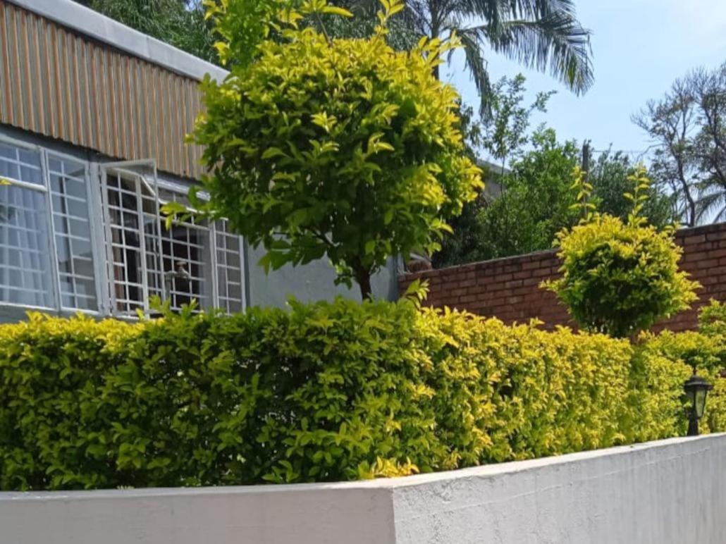 Kaste Guesthouse Tzaneen Bagian luar foto