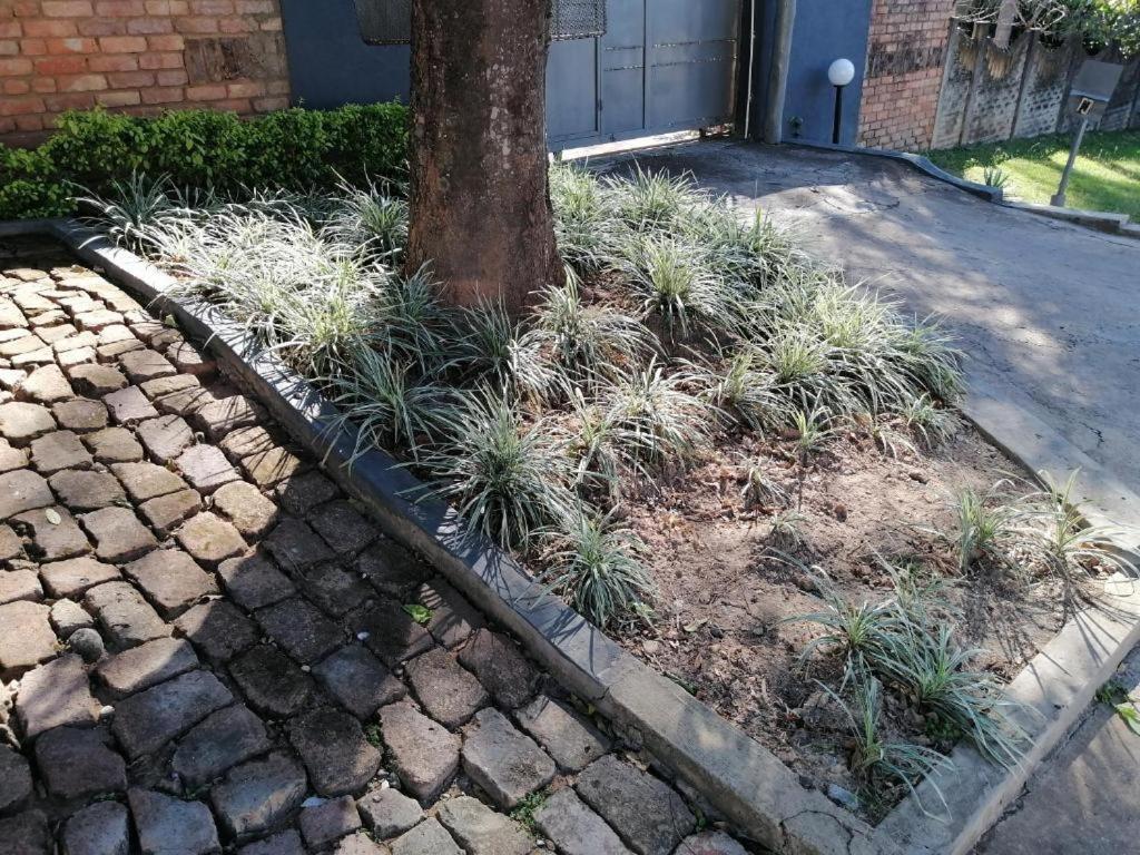 Kaste Guesthouse Tzaneen Bagian luar foto